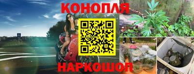 дмт Нягань