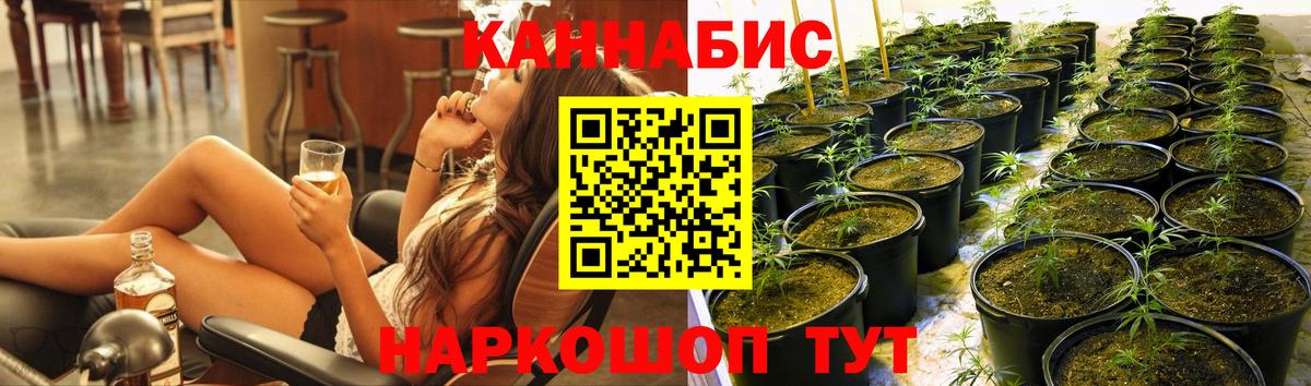 Шишки марихуана марихуана Тайшет